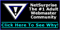 Net Suprise Webmaster Resources